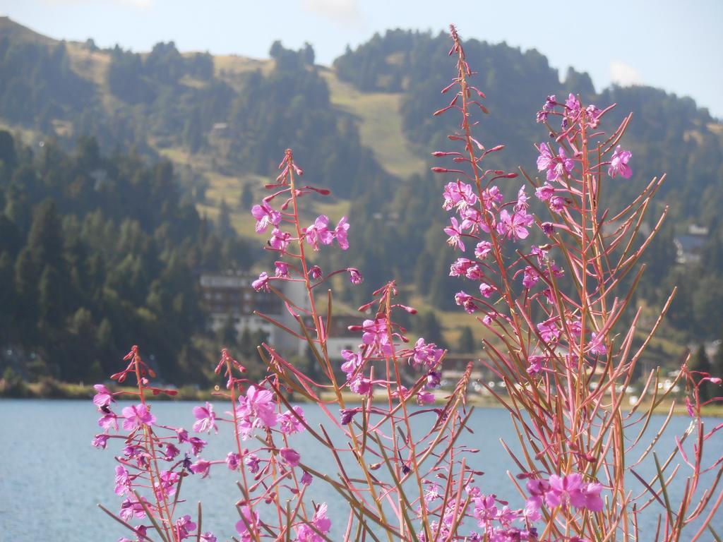 Sundance Mountain Resort Turracher Hohe Dış mekan fotoğraf